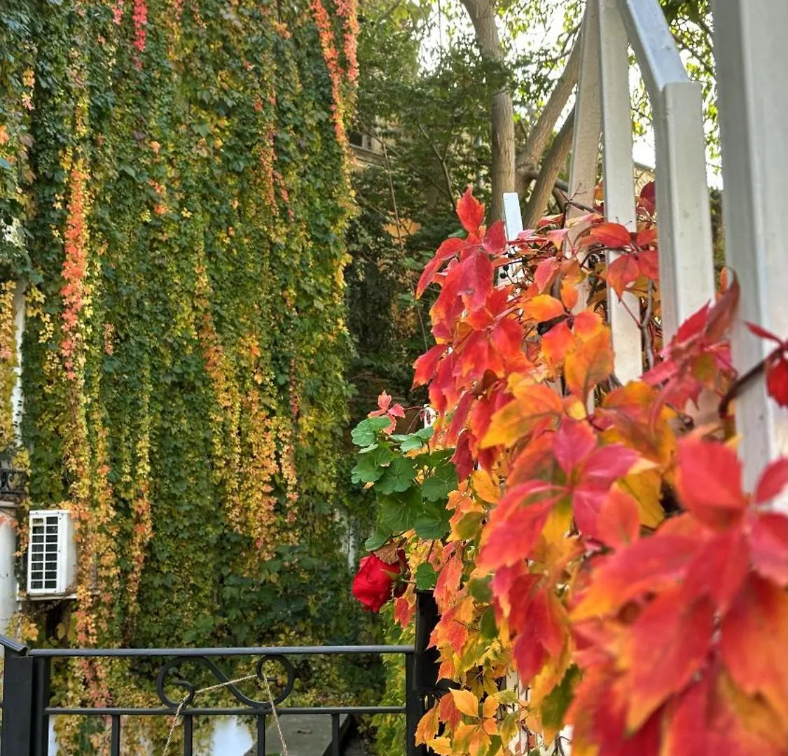 *** Guest house City Boutique Inn Varna Bulgaria